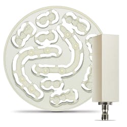 03gf Trinia De Image 0115 03gf Trinia De Image 0115