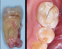 1506dechr P01 1506dechr P01