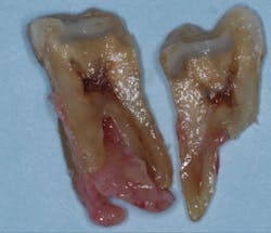 1506dechr P02 1506dechr P02