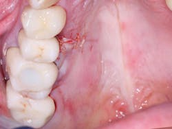 1506dechr P08 1506dechr P08