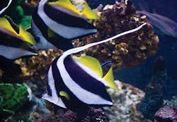 445 3021100 445 3021100