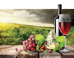 525 4282079 525 4282079