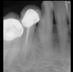 Chr Slide01 Chr Slide01