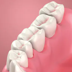 Dreamstime Xl 26519042 Dreamstime Xl 26519042