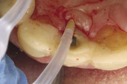 Fro Figure 2 Opt Fro Figure 2 Opt