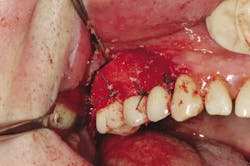 Fro Figure 3a Opt Fro Figure 3a Opt