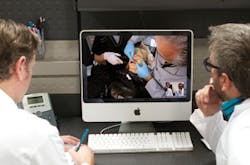 Massad Figure 3 Massad Figure 3