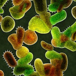 Nagelberg Lifetime Of Health Nagelberg Lifetime Of Health