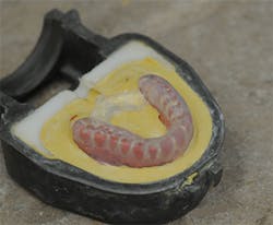 P1410dechr08 P1410dechr08