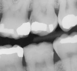 Patel Photo 1 Patel Photo 1