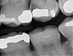 Patel Photo 2 Patel Photo 2