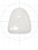 Pennwell web 130 168 Pennwell web 130 168