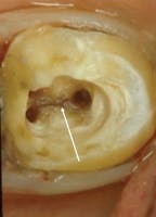 Pennwell web 144 200 Pennwell web 144 200