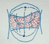 Pennwell web 200 178 Pennwell web 200 178