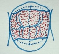 Pennwell web 200 183 Pennwell web 200 183