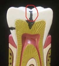 Pennwell web 200 223 Pennwell web 200 223