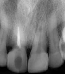 Pennwell web 220 250 Pennwell web 220 250