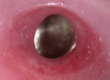 Pennwell web 225 163 Pennwell web 225 163