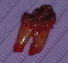 Pennwell web 230 211 Pennwell web 230 211