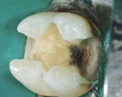 Pennwell web 240 190 Pennwell web 240 190