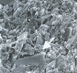 Pennwell web 250 238 Pennwell web 250 238