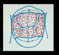 Pennwell web 300 278 Pennwell web 300 278