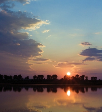 by Mickel (Mick) Malek, DDS