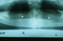 Pennwell web 400 263 Pennwell web 400 263