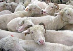 Pennwell web 400 283 Pennwell web 400 283