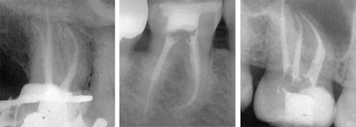 Pennwell web 600 215