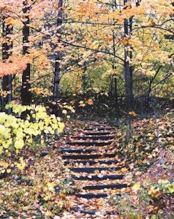 Th 0510demor Th 0510demor