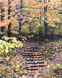 Th 0510demor Th 0510demor