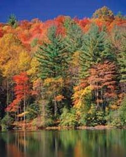 Th 0611dejam Th 0611dejam