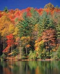 Th 0611dejam Th 0611dejam