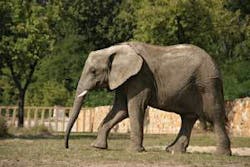 Th 0611detoc2 Th 0611detoc2