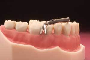 New Favorites Dental Economics New Favorites Dental Economics