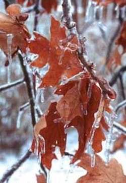 Th 0702deyou Th 0702deyou