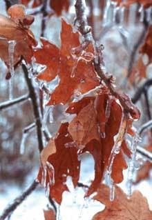 Th 0702deyou Th 0702deyou