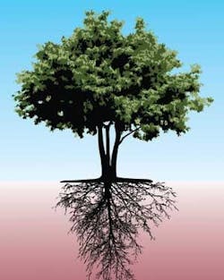 Th 0802dequantum01 Th 0802dequantum01