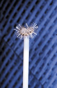 Th De109681 36 Th De109681 36