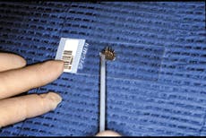 Th De109681 38 Th De109681 38