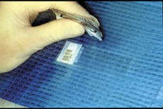 Th De109681 39 Th De109681 39