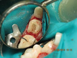 1603dexu P03 1603dexu P03