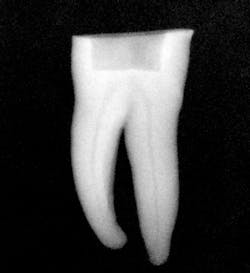 1604dedeu P01 1604dedeu P01