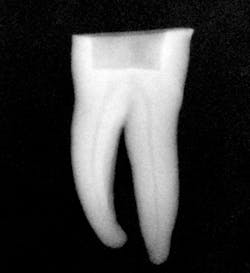 1604dedeu P01 1604dedeu P01