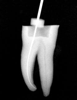 1604dedeu P02 1604dedeu P02