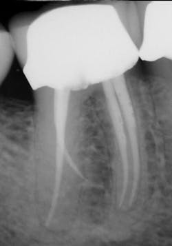 1604dedeu P05 1604dedeu P05