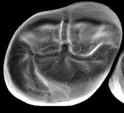 1605dechr P09 1605dechr P09