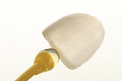 1605demau P17 1605demau P17