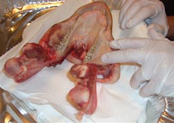 1609dechr P03 1609dechr P03